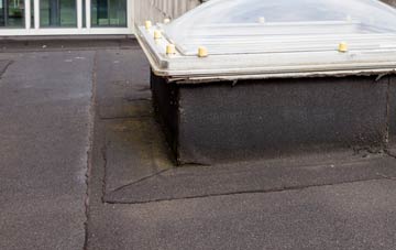 disadvantages of Dale Brow flat roofs