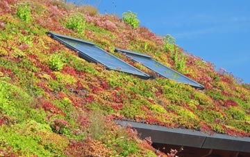 Dale Brow living roof systems