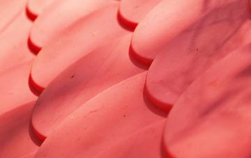 Dale Brow plastic roof costs