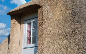 Dale Brow thatch roof disadvantages