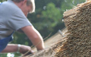 professional Dale Brow thatchers