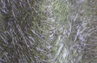 Dale Brow fibreglass roof work